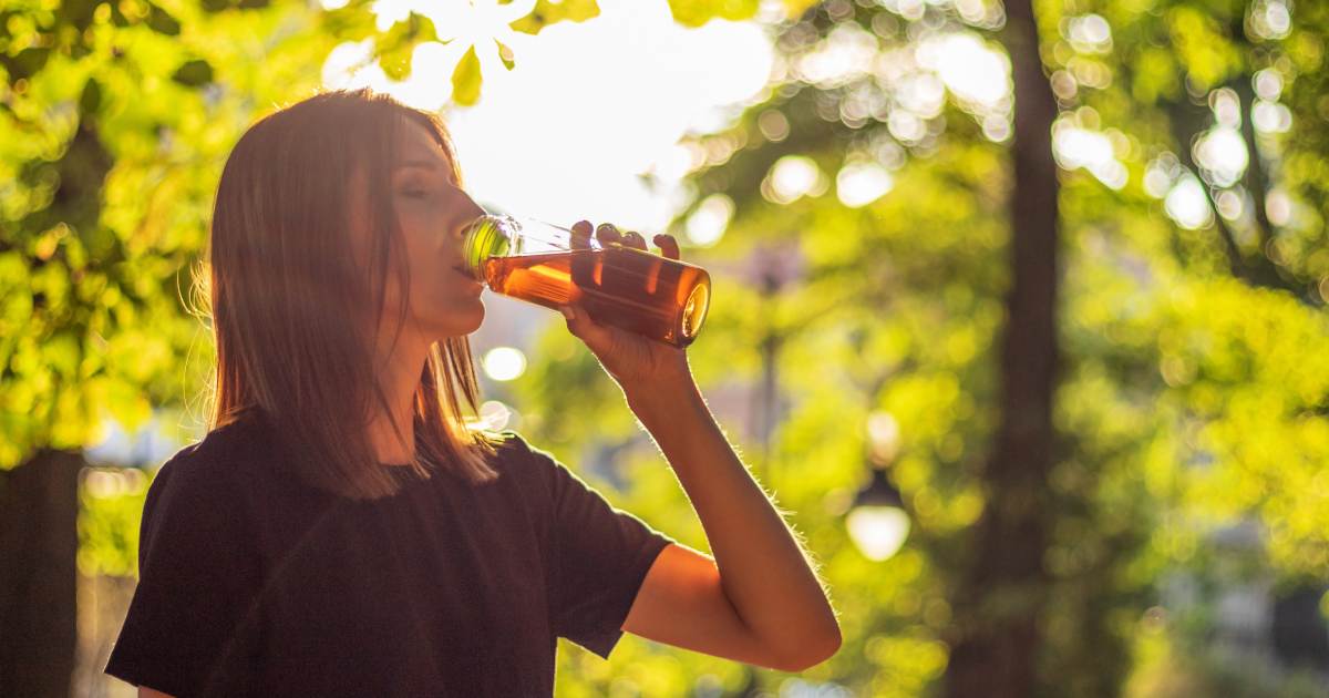 El té frío es una bebida ideal para el verano