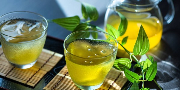 Té verde y deporte: el aliado saludable que necesitas para mejorar tu rendimiento físico