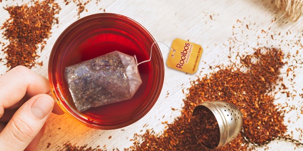 Lo que debes conocer sobre el Rooibos