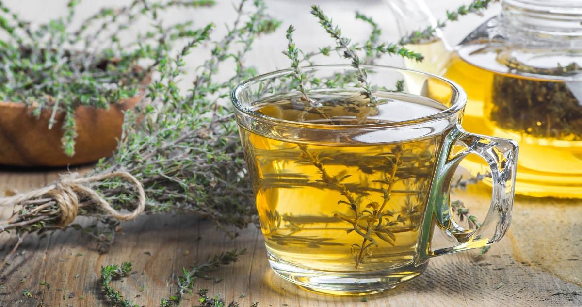 Déjate sorprender por los impresionantes beneficios de la infusión de tomillo